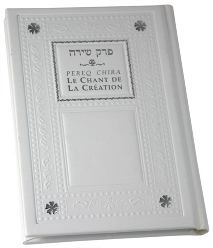 Agrandir l'image